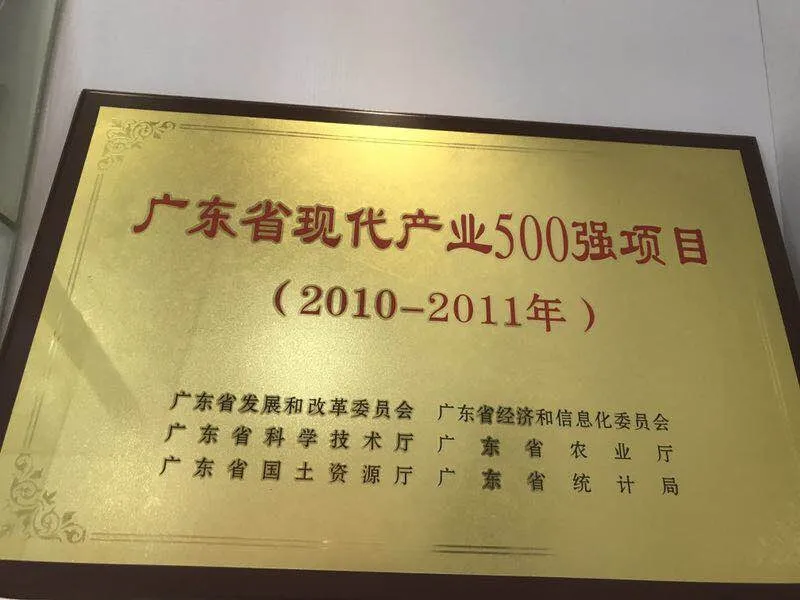BYD Forklift Truck | 2010-2011 Guangdong Province Modern Industry Top 500 Projec